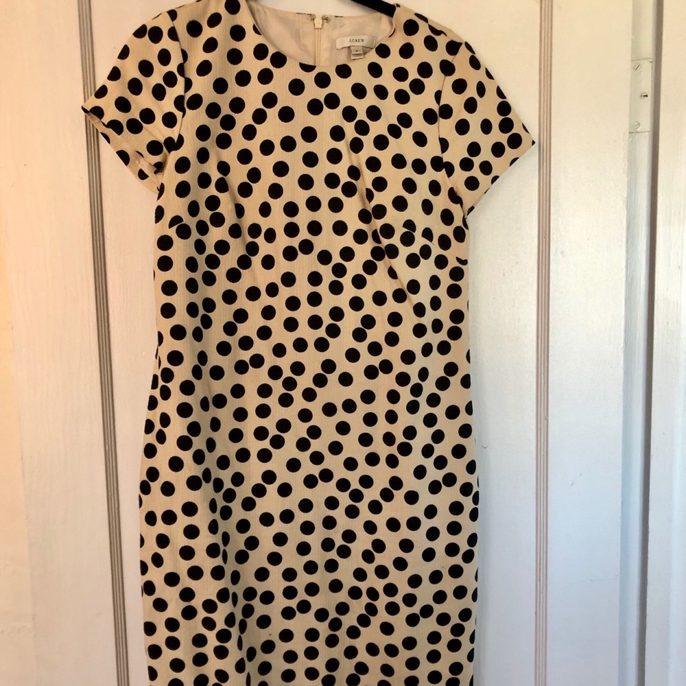 J. Crew Polka Dot Dress